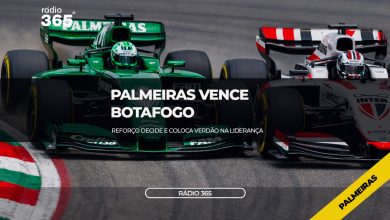 Palmeiras novo lider do Brasileirão